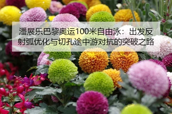 潘展乐巴黎奥运100米自由泳：出发反射弧优化与切孔途中游对抗的突破之路